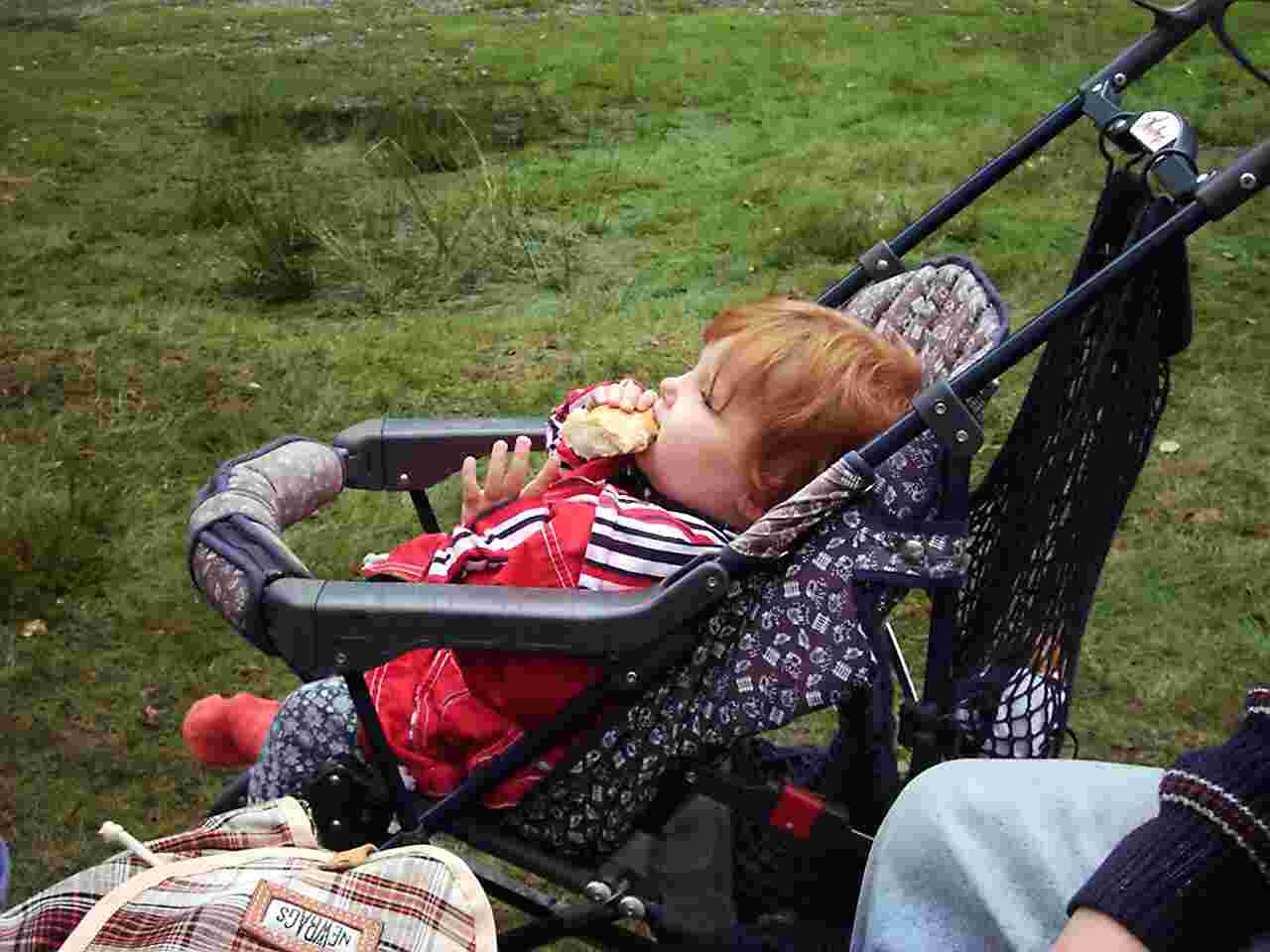 Bild 12 von 17  -  51 kB