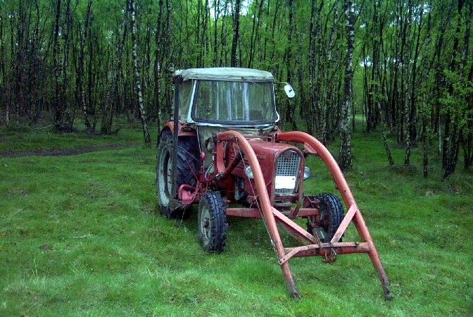 Bild 6 von 12  -  313 kB