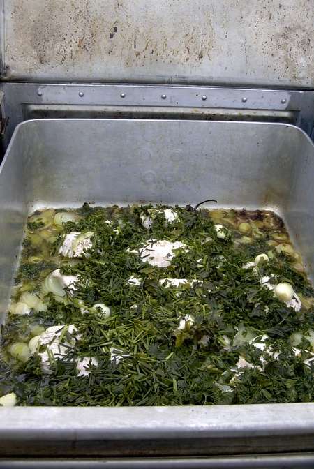 Bild 8 von 20  -  48 kB